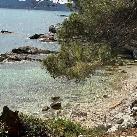 Center Bay جوان ليه باه