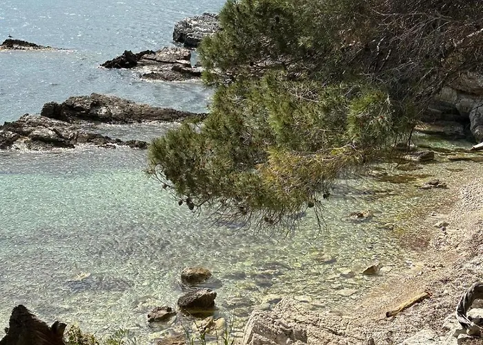 Center Bay Juan-les-Pins